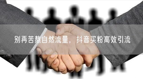 别再苦熬自然流量，抖音买粉高效引流