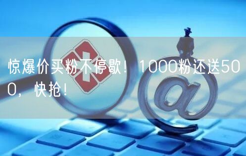惊爆价买粉不停歇！1000粉还送500，快抢！