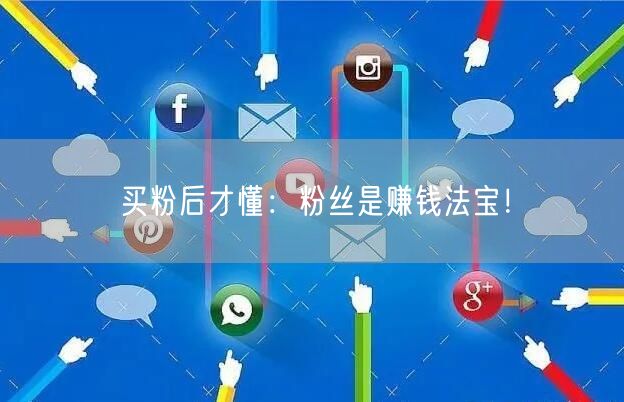 买粉后才懂：粉丝是赚钱法宝！