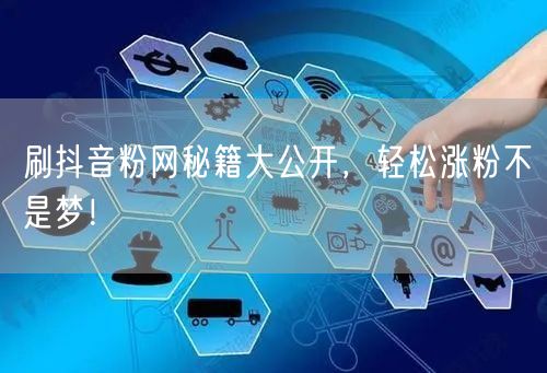 刷抖音粉网秘籍大公开，轻松涨粉不是梦！