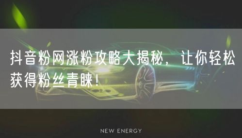 抖音粉网涨粉攻略大揭秘，让你轻松获得粉丝青睐！