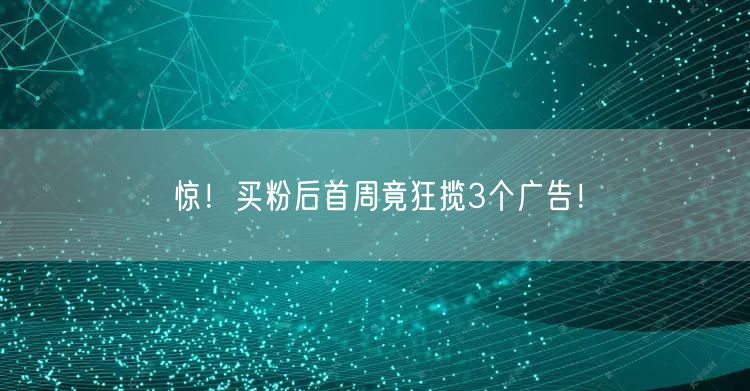 惊！买粉后首周竟狂揽3个广告！