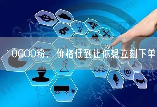 10000粉，价格低到让你想立刻下单