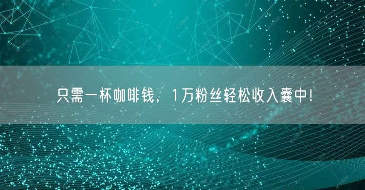 只需一杯咖啡钱，1万粉丝轻松收入囊中！