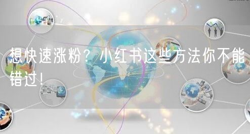 想快速涨粉？小红书这些方法你不能错过！